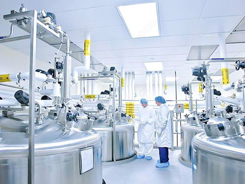 浙江嘉興食品添加劑凈化無塵車間裝修要求市場調查與分析